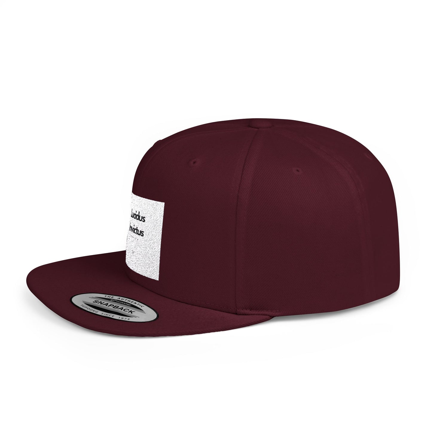 LUCIDUS INVICTUS Snapback Cap - Comfortable and Stylish, Modern Urban Cap.