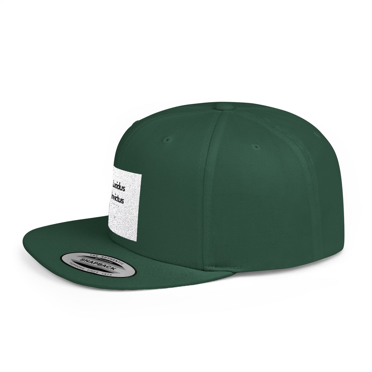 LUCIDUS INVICTUS Snapback Cap - Comfortable and Stylish, Modern Urban Cap.