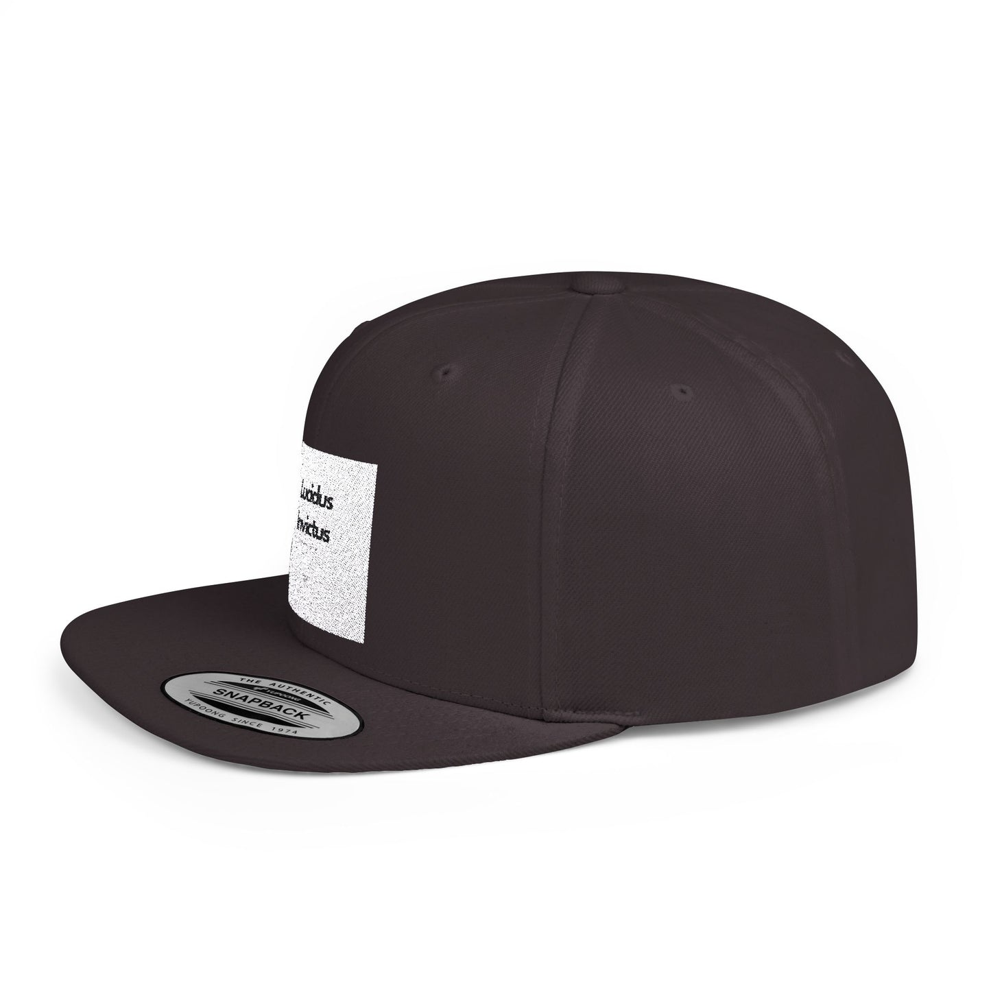 LUCIDUS INVICTUS Snapback Cap - Comfortable and Stylish, Modern Urban Cap.