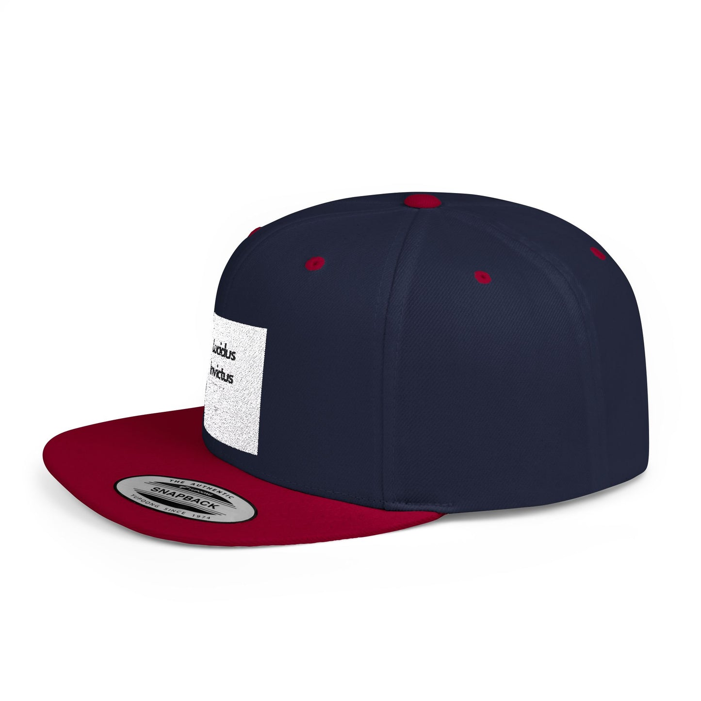 LUCIDUS INVICTUS Snapback Cap - Comfortable and Stylish, Modern Urban Cap.