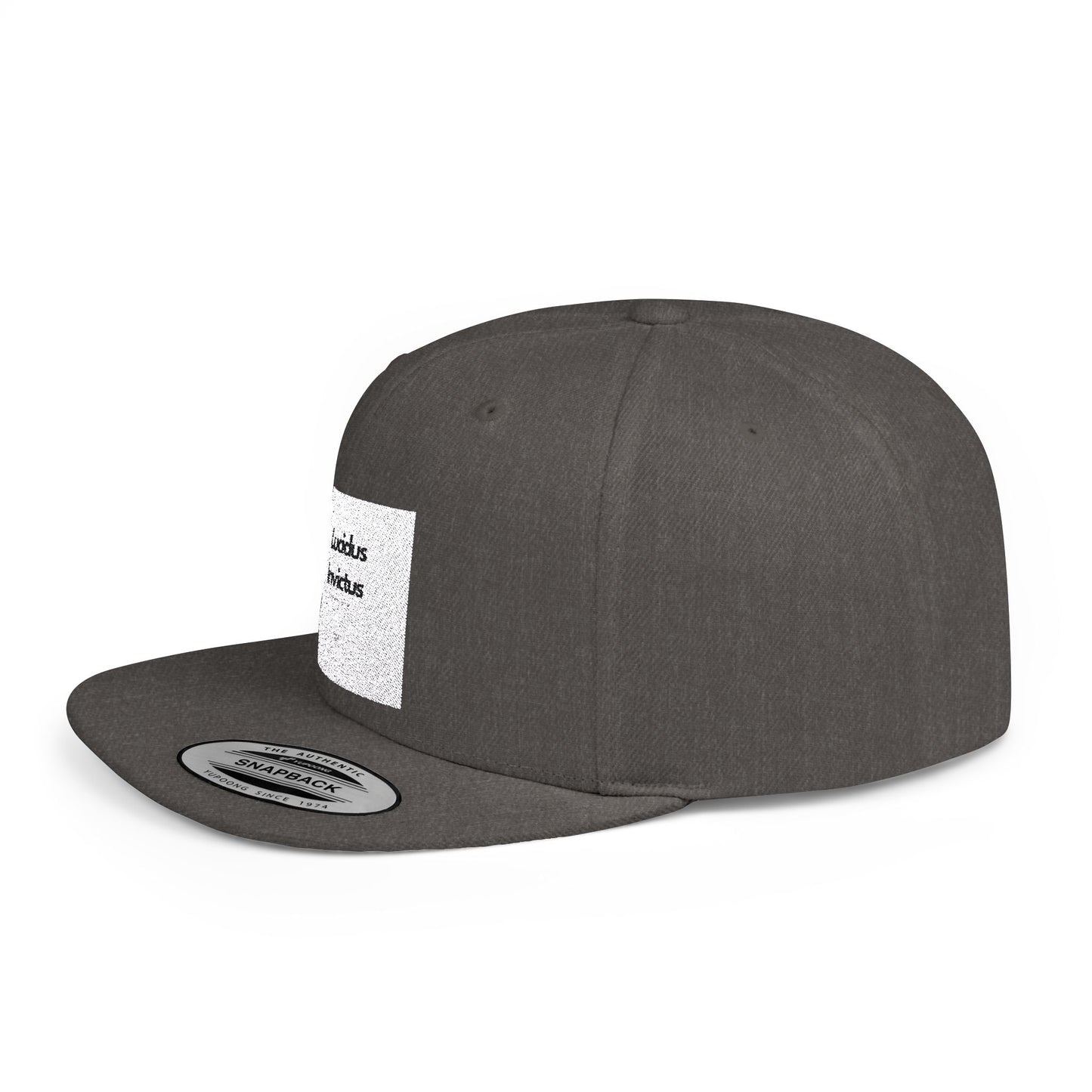 LUCIDUS INVICTUS Snapback Cap - Comfortable and Stylish, Modern Urban Cap.
