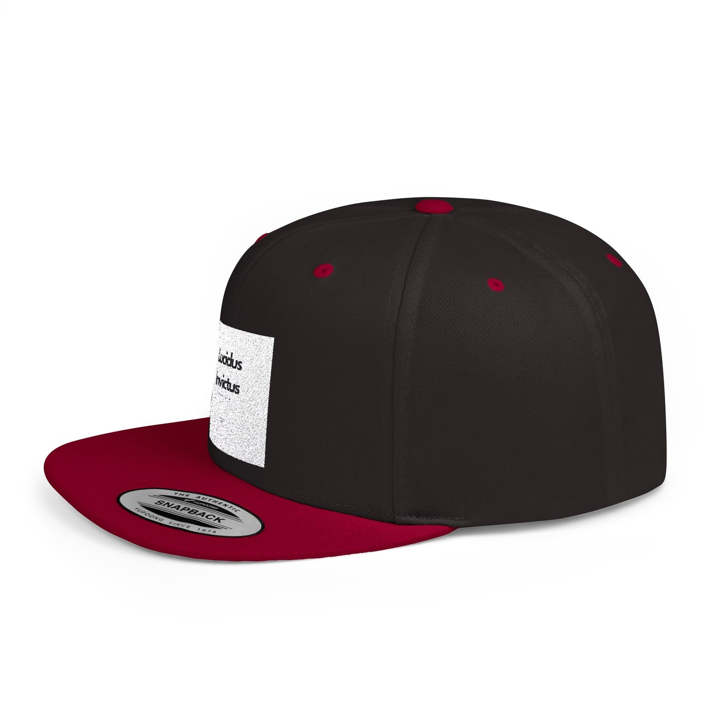 LUCIDUS INVICTUS Snapback Cap - Comfortable and Stylish, Modern Urban Cap.