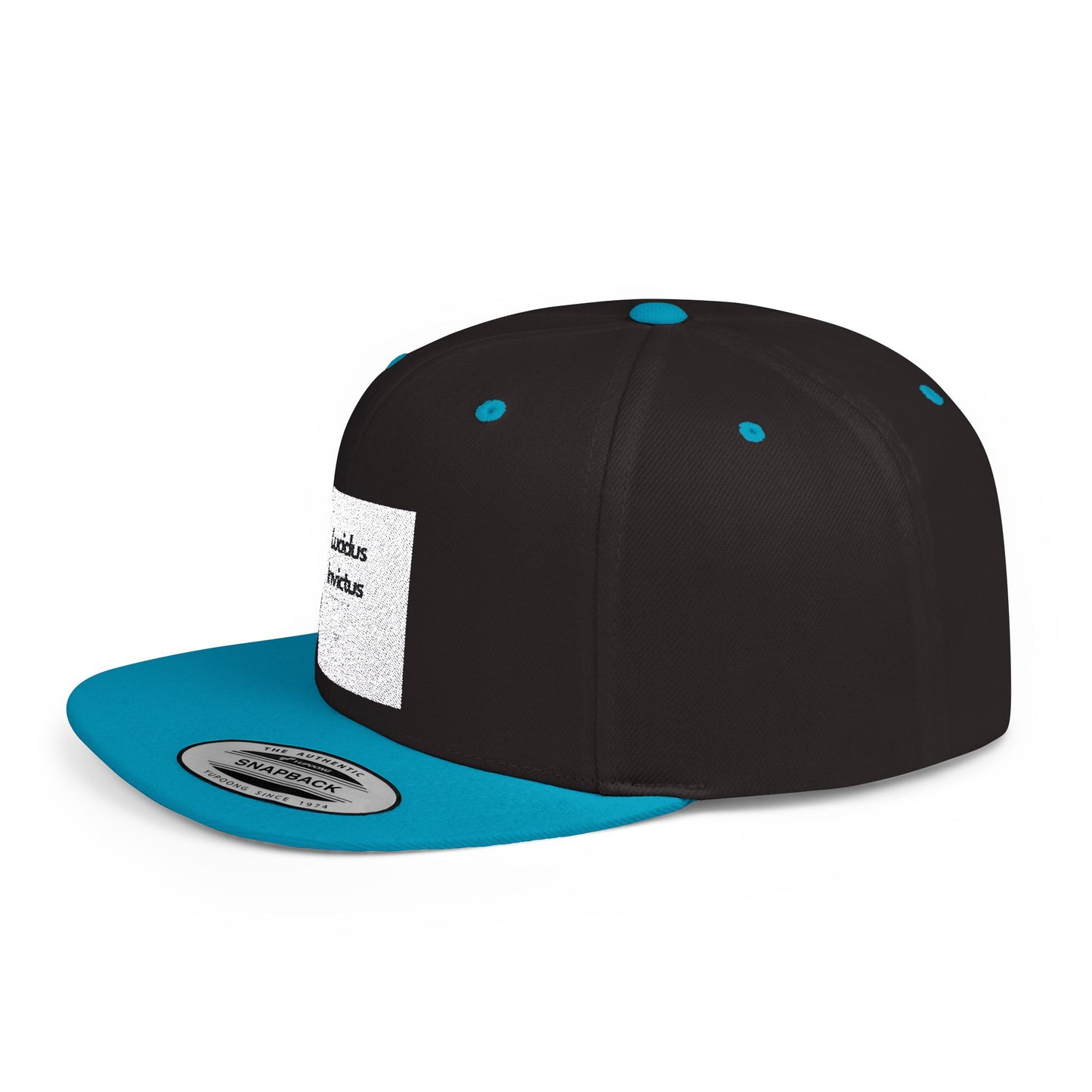 LUCIDUS INVICTUS Snapback Cap - Comfortable and Stylish, Modern Urban Cap.