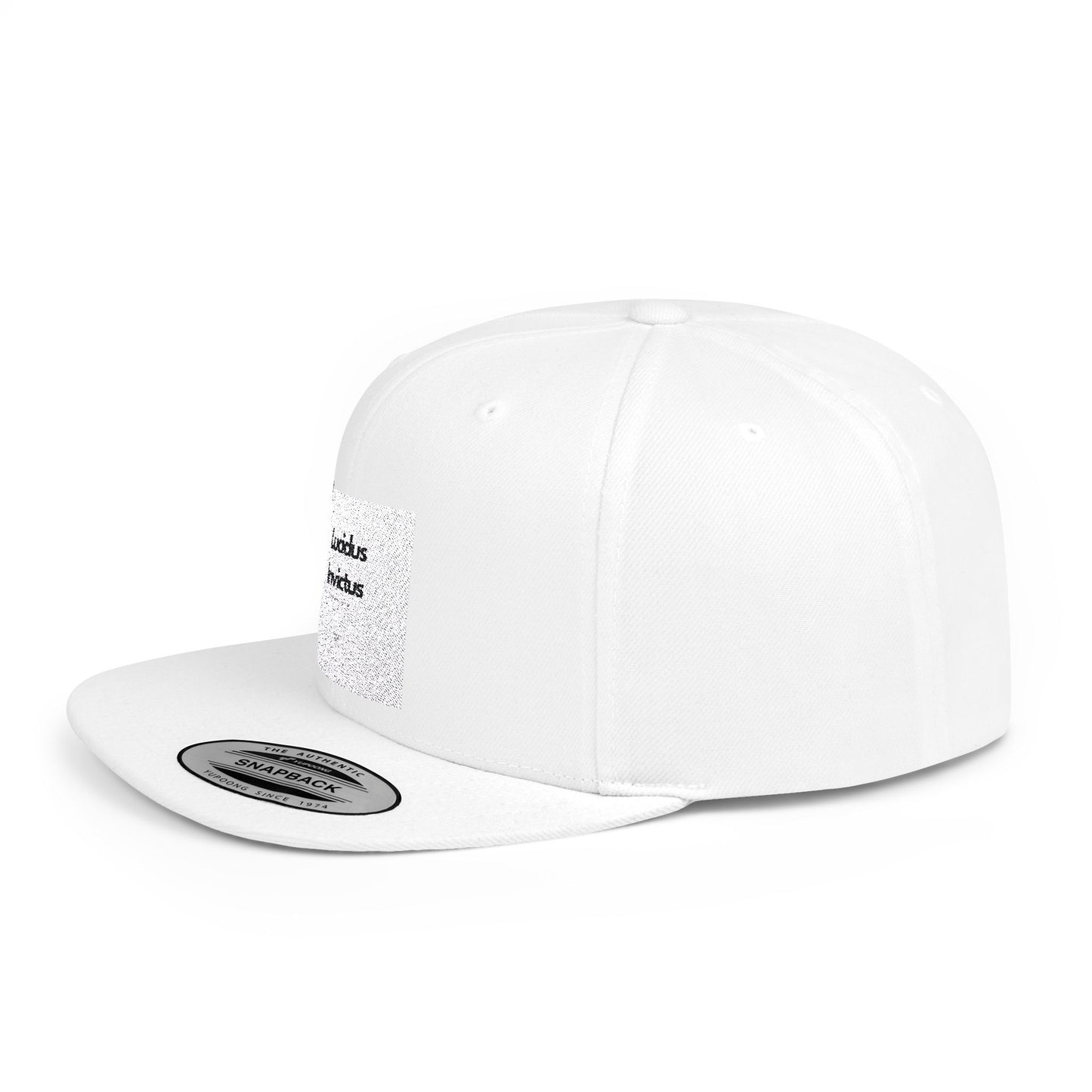 LUCIDUS INVICTUS Snapback Cap - Comfortable and Stylish, Modern Urban Cap.