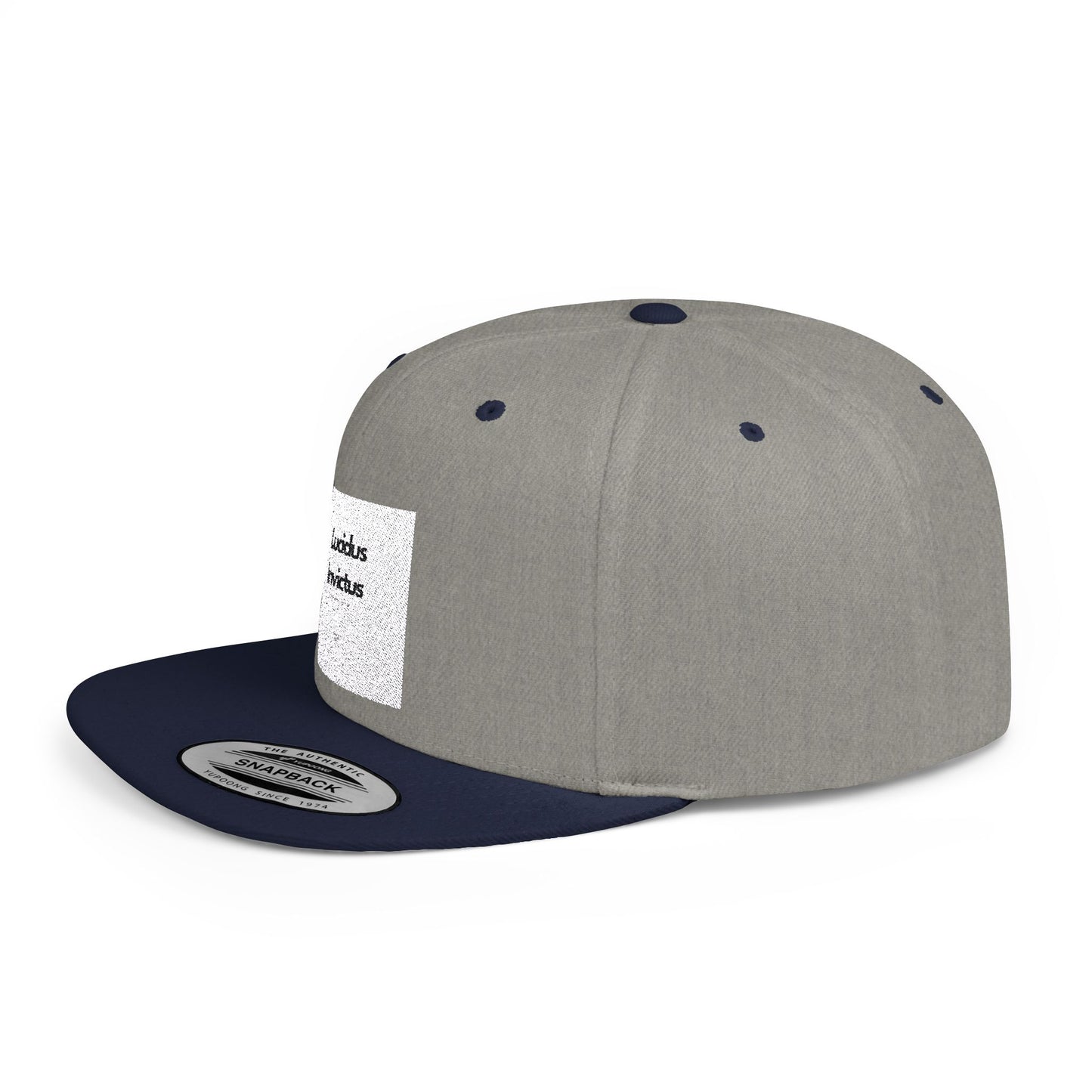 LUCIDUS INVICTUS Snapback Cap - Comfortable and Stylish, Modern Urban Cap.